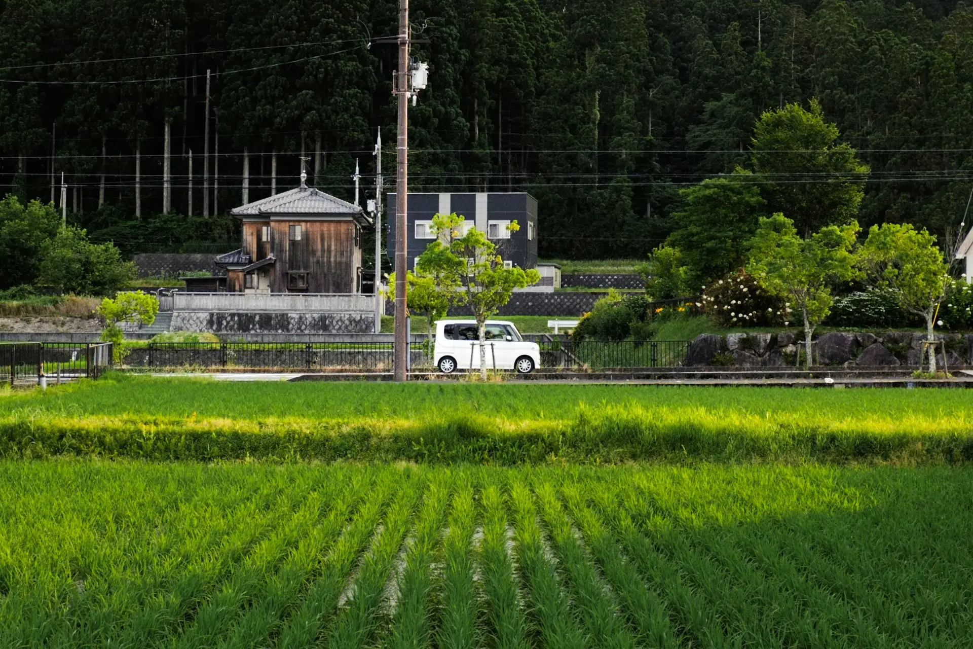 countryside, japan. photo by james chan on unsplash