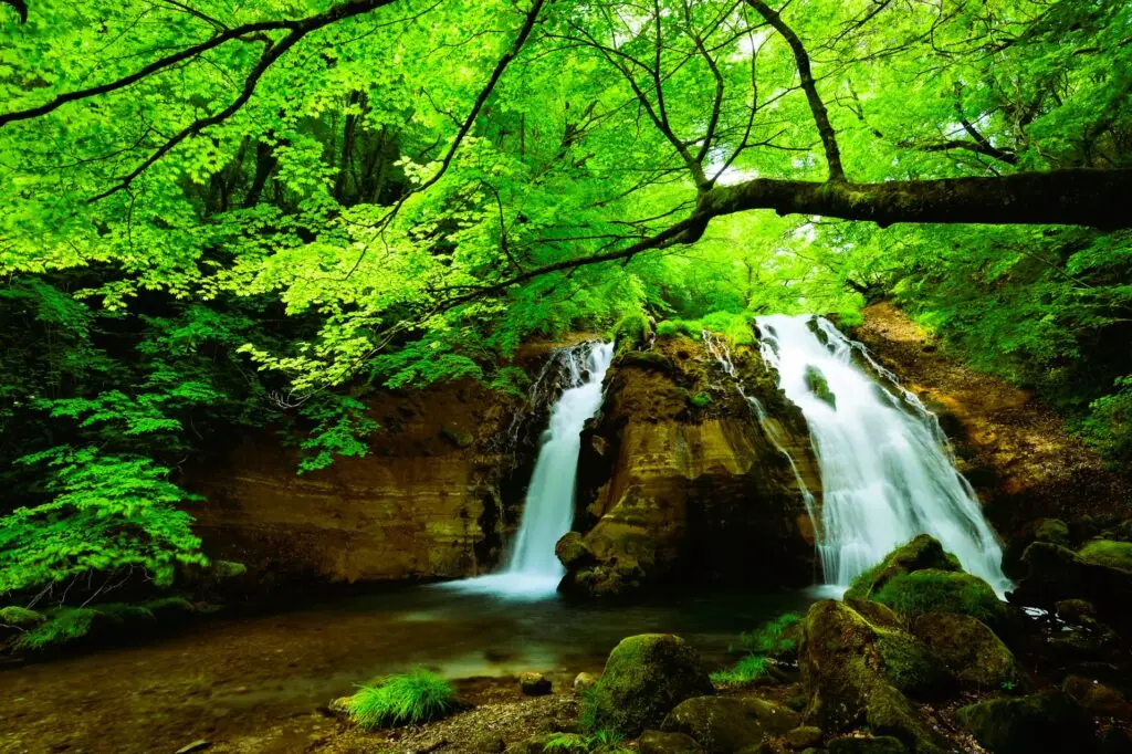 waterfall, japan. photo by kouji tsuru on unsplash