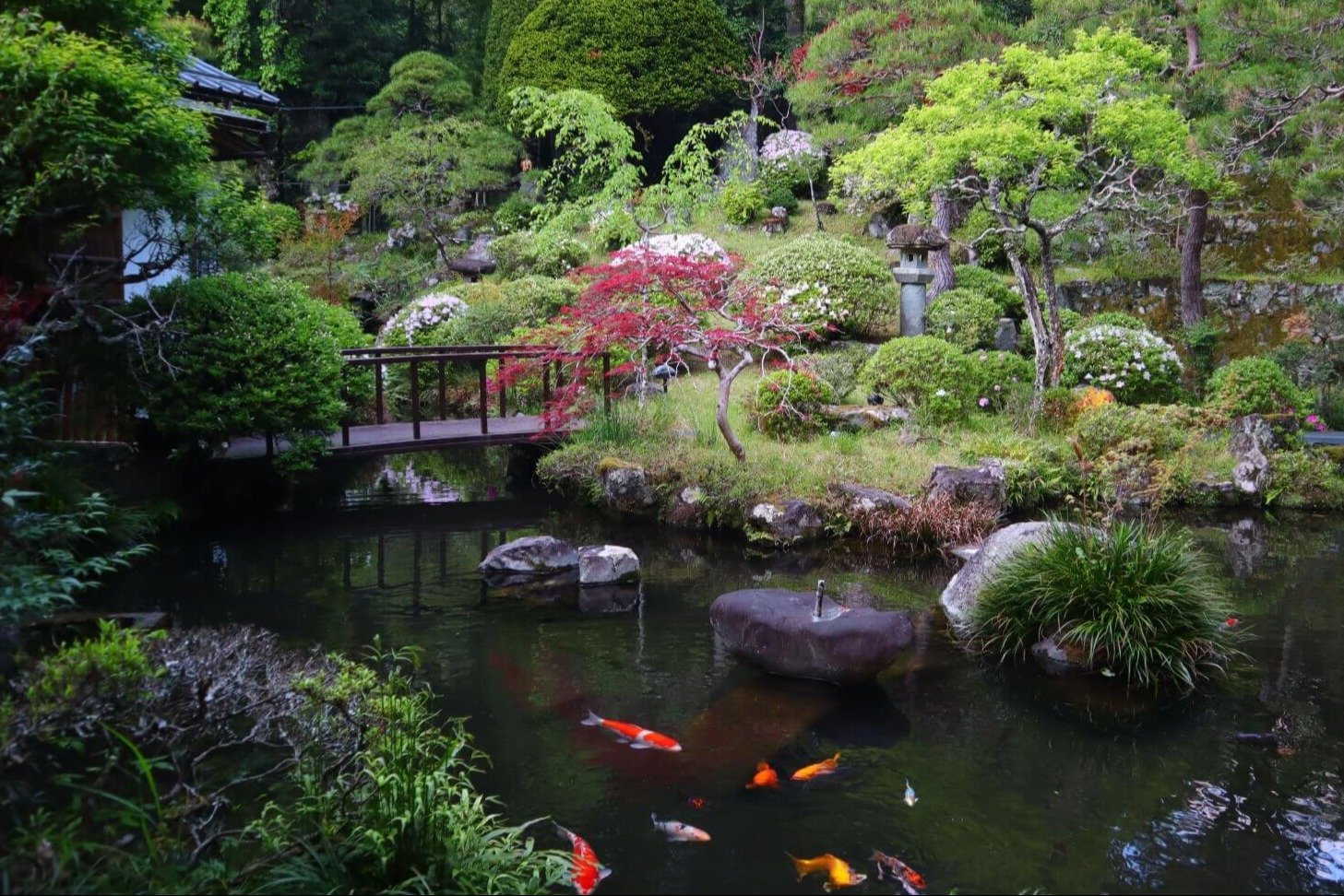 Cultural Experiences garden