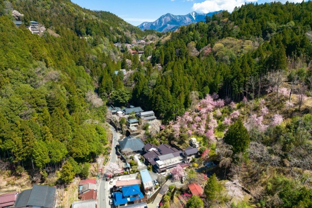 Cultural Experiences shimanobō 6